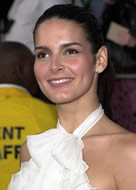 Angie Harmon